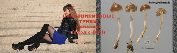 амф Баксан