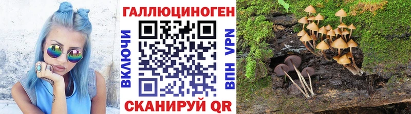 Галлюциногенные грибы прущие грибы Олонец