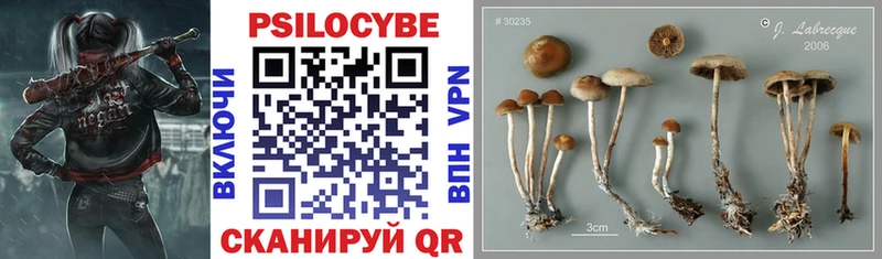 Псилоцибиновые грибы Magic Shrooms  Олонец 